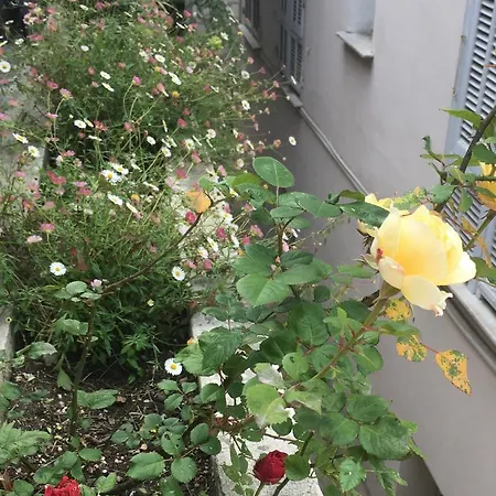 Les Palmiers Niceairport, Beach200m, 2bedrooms, Wifi Optic *