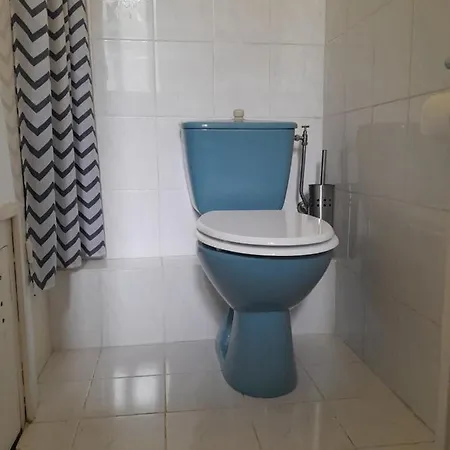 Les Palmiers Niceairport, Beach200m, 2bedrooms, Wifi Optic דירה *